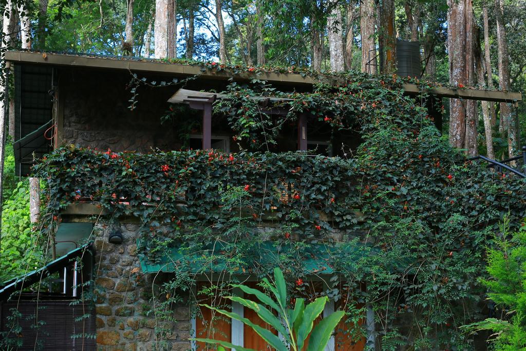 Greenspaces B&B Munnar Exteriör bild