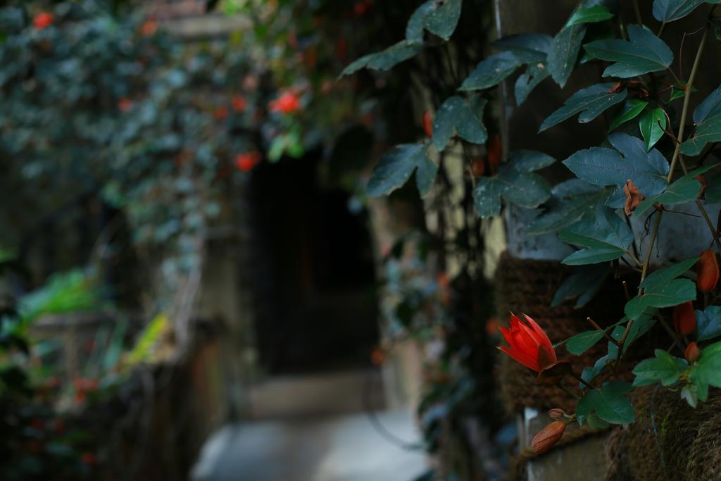 Greenspaces B&B Munnar Exteriör bild