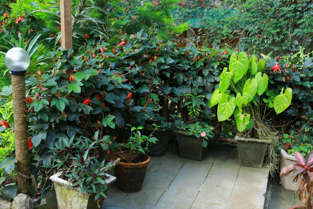 Greenspaces B&B Munnar Exteriör bild
