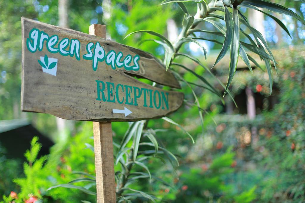 Greenspaces B&B Munnar Exteriör bild