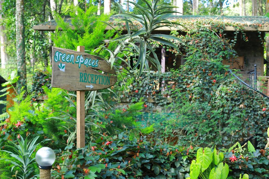 Greenspaces B&B Munnar Exteriör bild