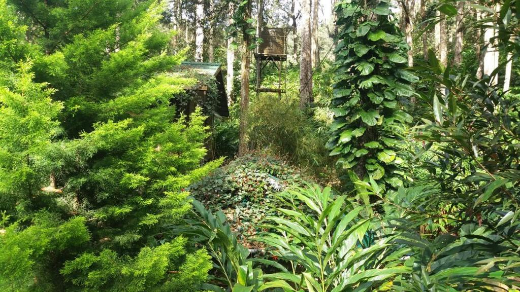 Greenspaces B&B Munnar Exteriör bild