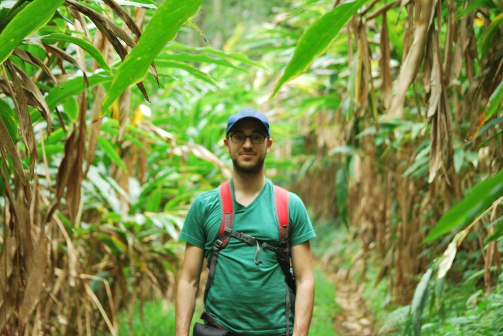 Greenspaces B&B Munnar Exteriör bild